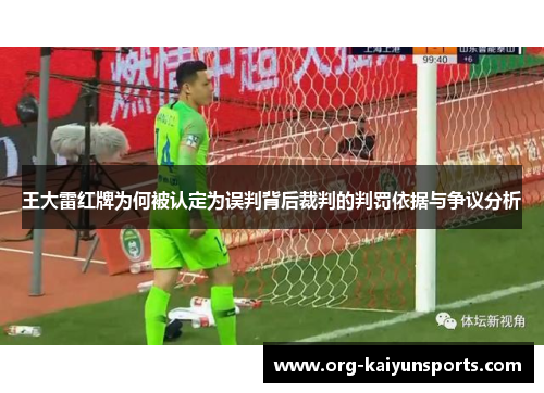 王大雷红牌为何被认定为误判背后裁判的判罚依据与争议分析