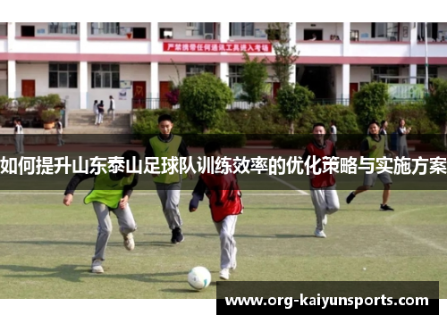 如何提升山东泰山足球队训练效率的优化策略与实施方案