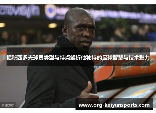 揭秘西多夫球员类型与特点解析他独特的足球智慧与技术魅力